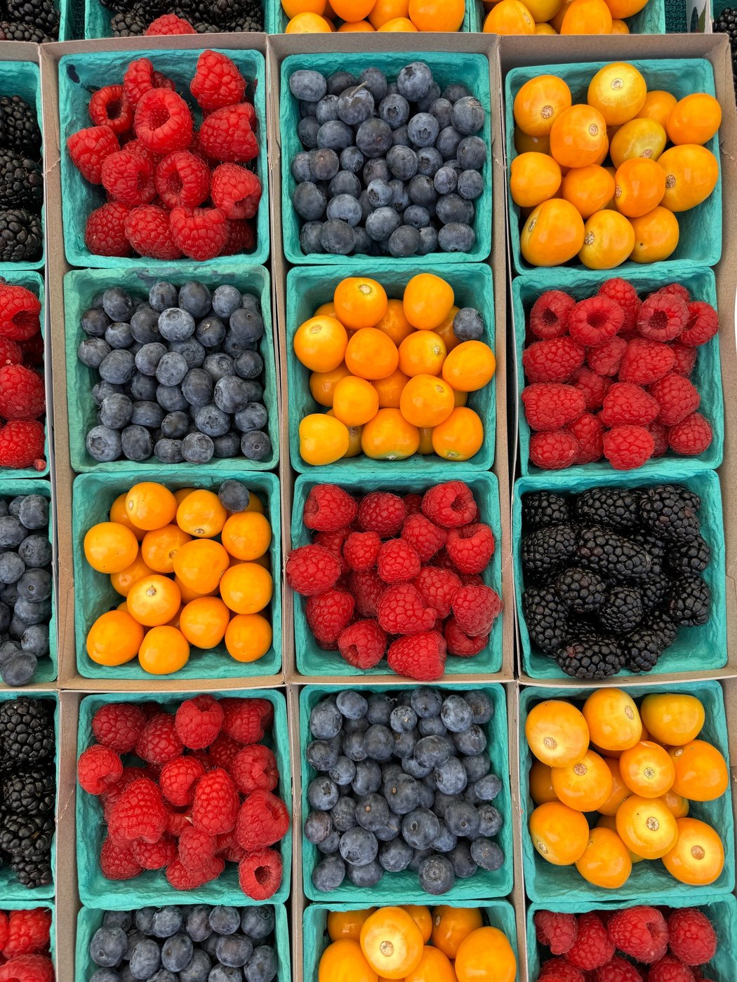 Overhead grid of teal baskets holding raspberries, blueberries, blackberries and orange berries