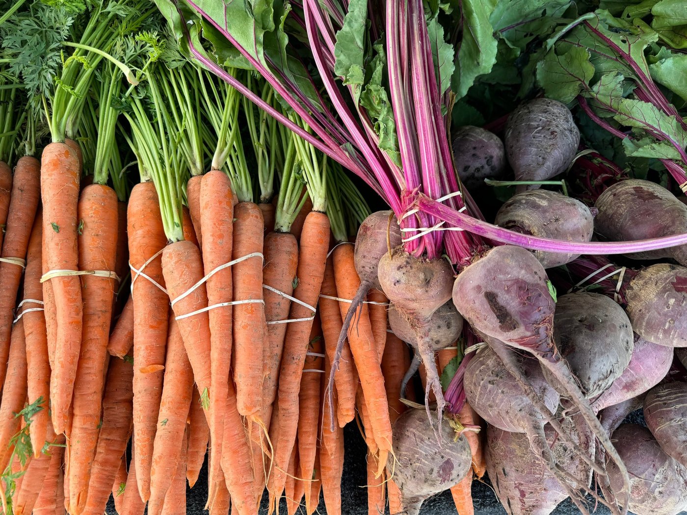Bundled orange carrots beside bunches of purple beets with pink stems and green tops