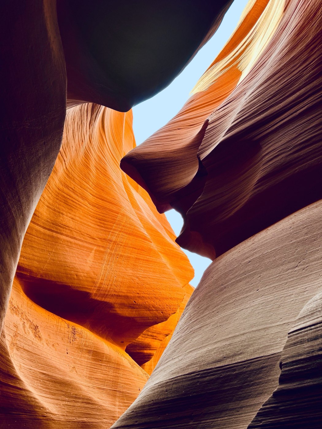 Desert Shark, Lower Antelope Canyon