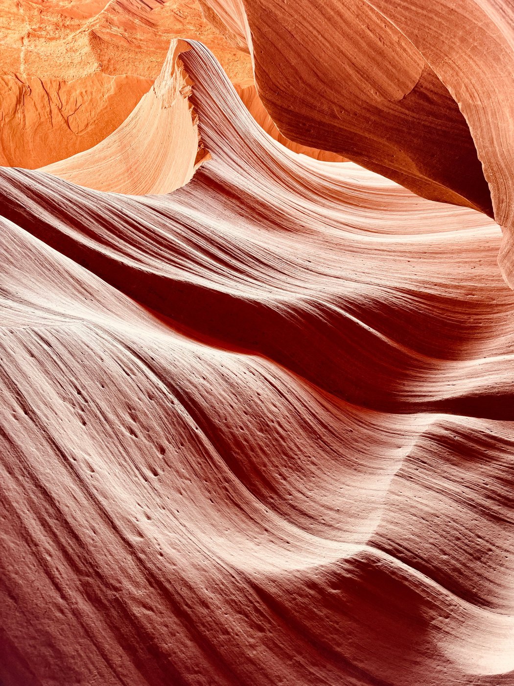 Desert Waves, Lower Antelope Canyon