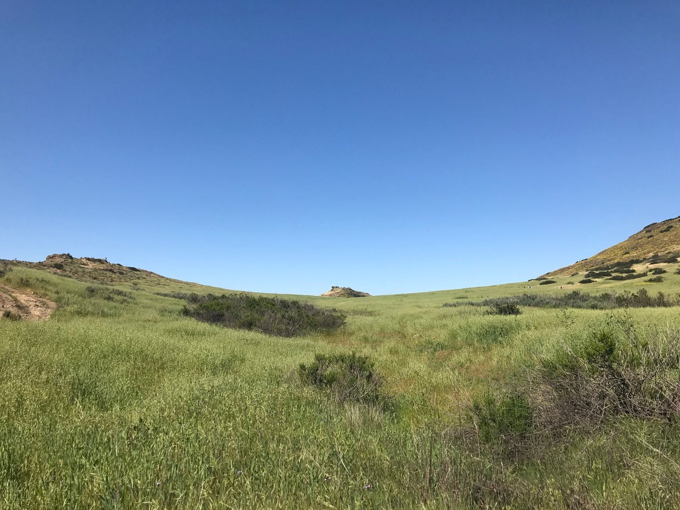 Broad green grassy valley between low hills under a clear blue sky