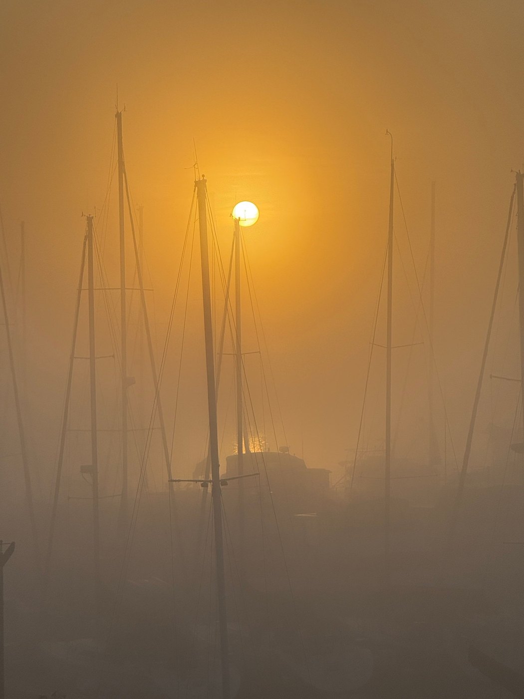 Sun glowing through golden fog behind the silhouetted masts of moored sailboats